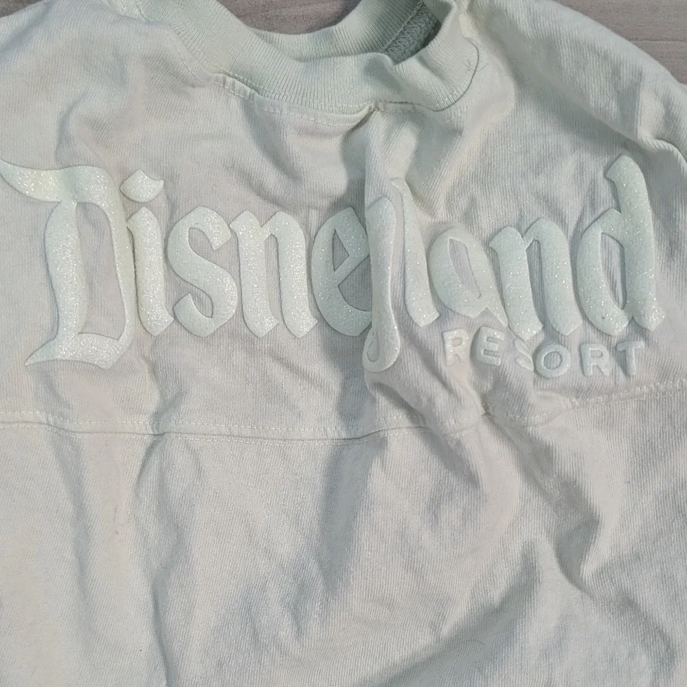 Disneyland Mint Green Glittery Dog Jersey